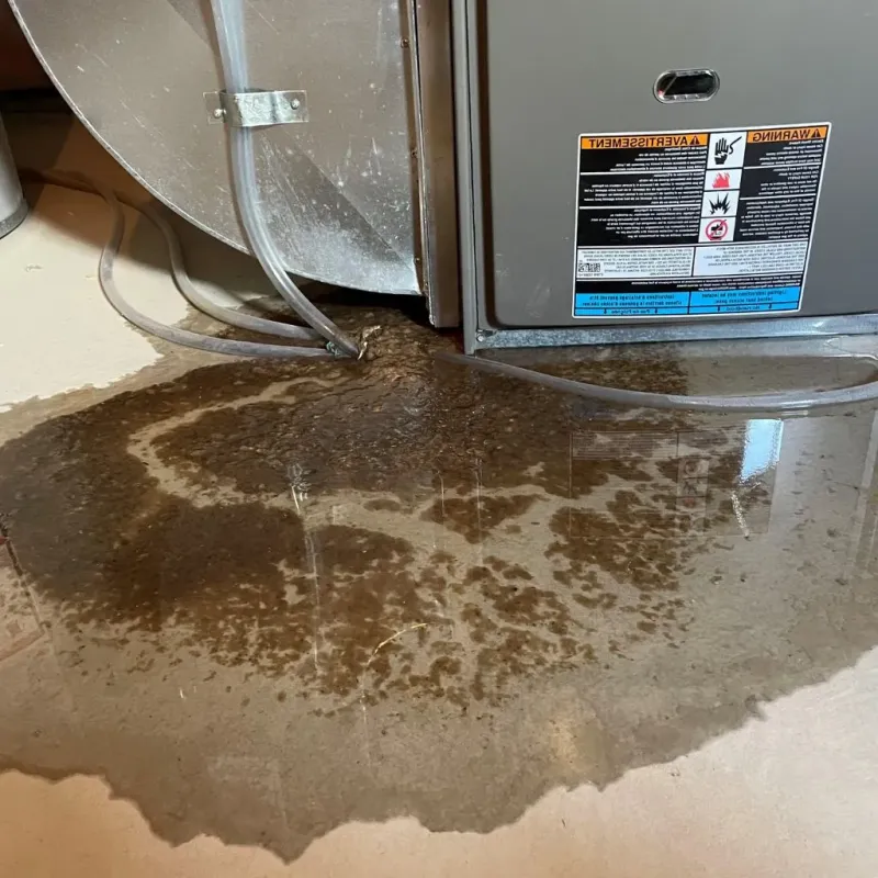 Pipe Burst and Leak Restoration in Canfield, OH